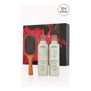 rosemary mint invigorating hair care and brush gift set