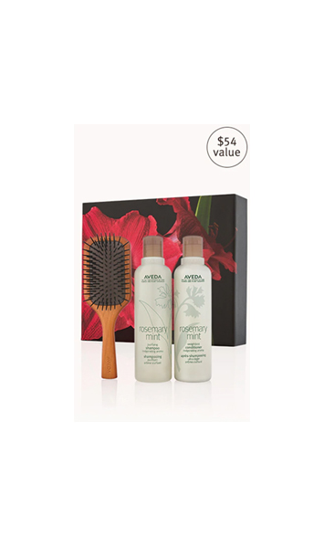 rosemary mint invigorating hair care and brush gift set